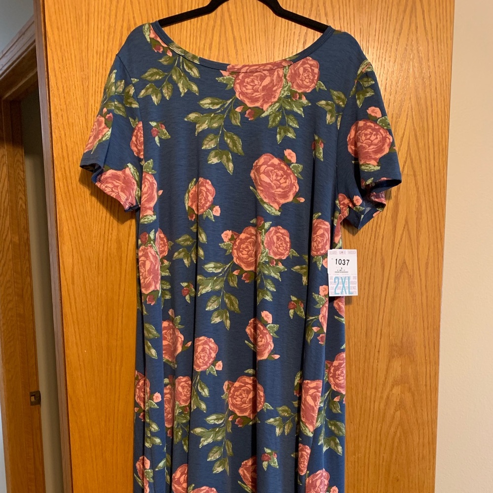 2XL Flowered Carly Swing Dress - NWT
